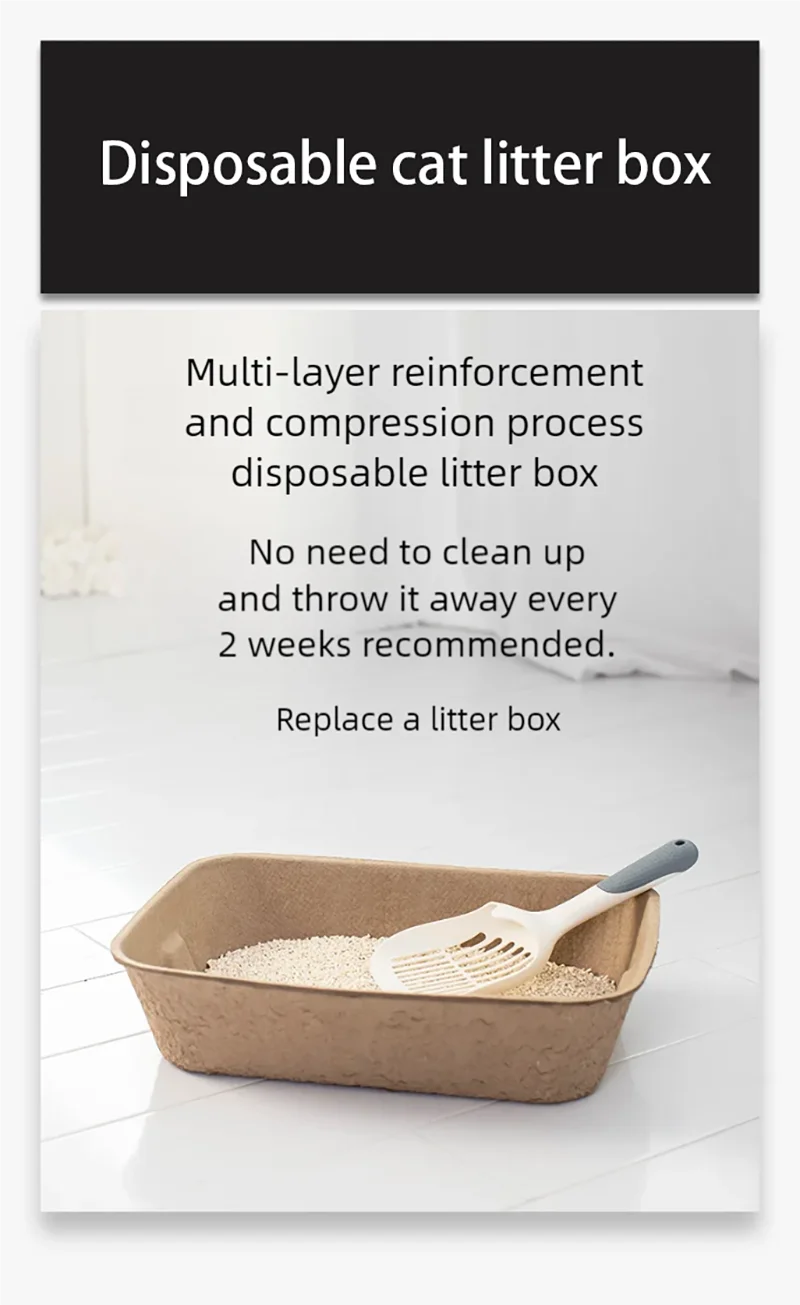 Disposable cat litter box