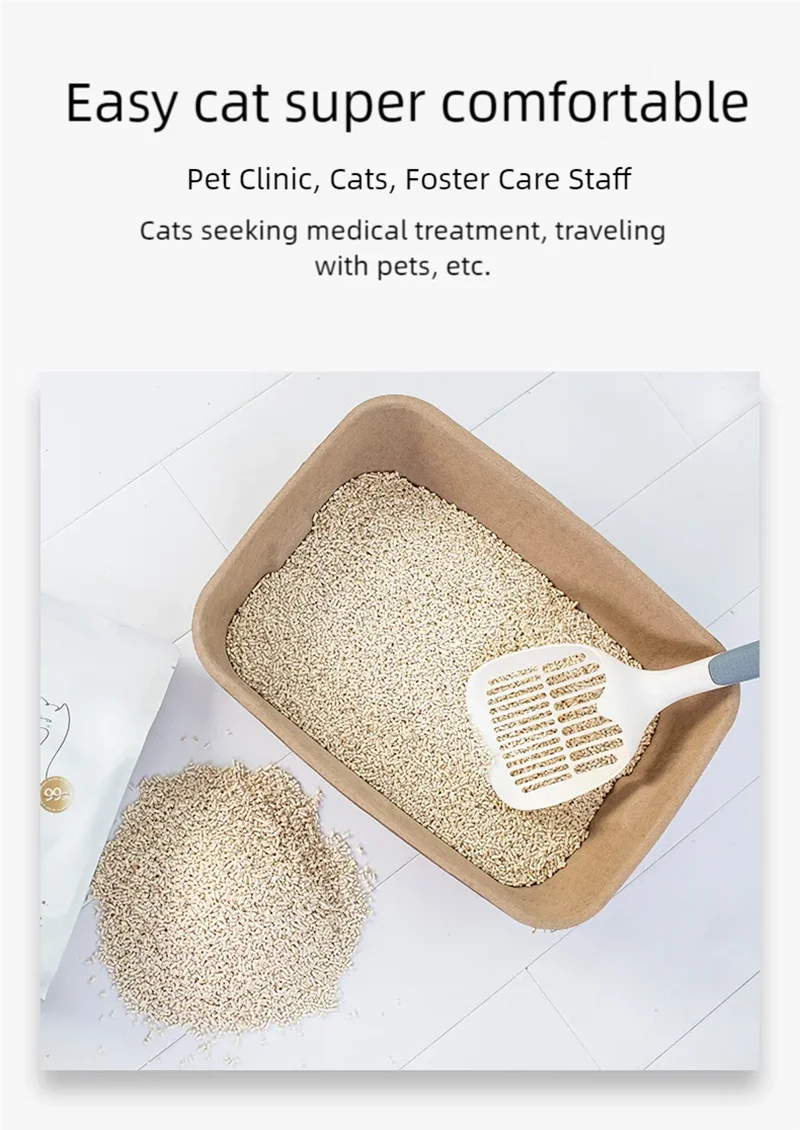 Disposable cat litter box