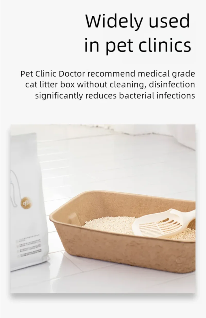 Disposable cat litter box