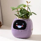 Smart Ai Flowerpots, 7 Smart Sensors, and Ai Chips Make Raising Plants Easy and Fun for Living Room,Plant-Free(Green)
