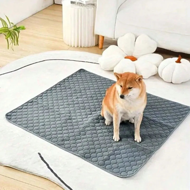 Dog Pee Pad Reusable Washable Dog Urine Mat Car Seat Floor Sofa Waterproof Absorbent Puppy Cat Training Diaper Mat Pet Supplies