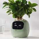 Smart Ai Flowerpots, 7 Smart Sensors, and Ai Chips Make Raising Plants Easy and Fun for Living Room,Plant-Free(Green)