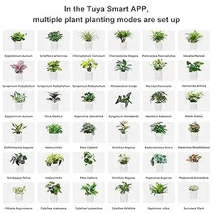 Smart Ai Flowerpots, 7 Smart Sensors, and Ai Chips Make Raising Plants Easy and Fun for Living Room,Plant-Free(Green)